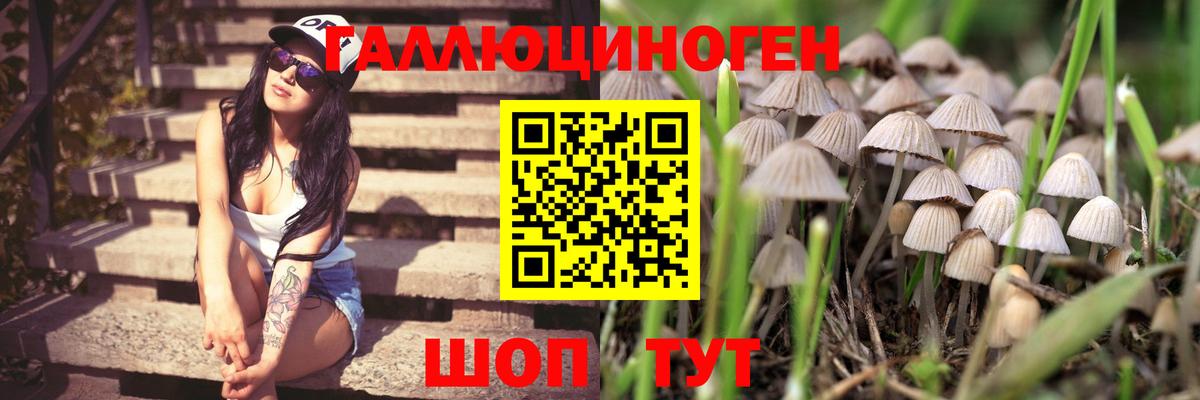 Галлюциногенные грибы Magic Shrooms  Вход с VPN  Елабуга 
