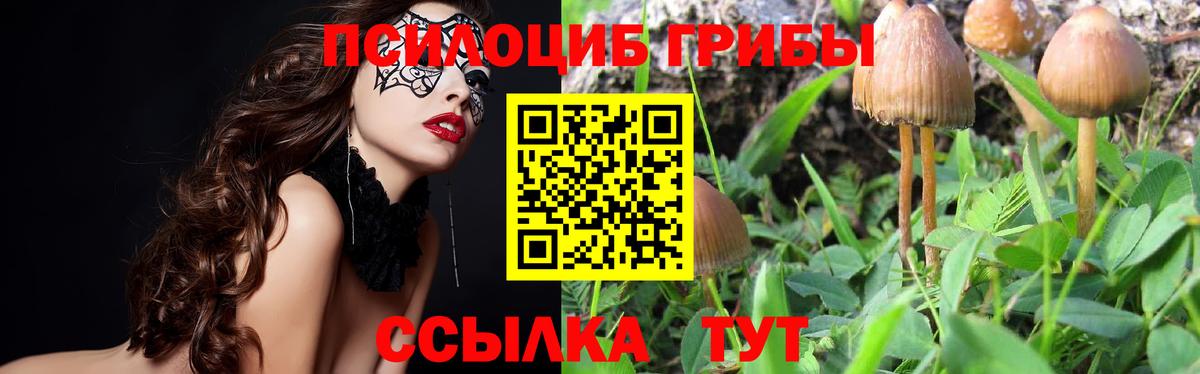 Галлюциногенные грибы MAGIC MUSHROOMS Елабуга